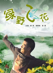 日韩综合在线观看